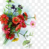 水彩鲜花