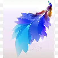 蓝紫渐变色孔雀