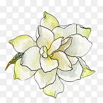 创意高清手绘复古合成花卉