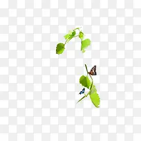 绿色清新植物叶子蝴蝶