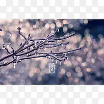 腊八节桌面壁纸图片
