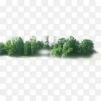 环境渲染效果摄影绿色植物