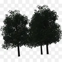 高清创意环境渲染效果树木