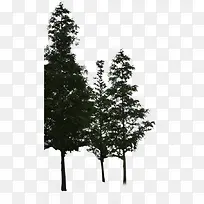 黑色创意环境渲染效果树木