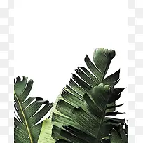 植物家居生活3