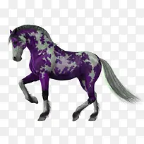 紫色花马