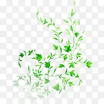 情浓端午绿色叶子花枝