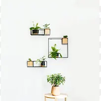 白色简约室内绿色植物