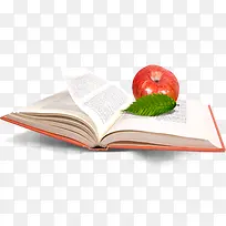 白色书籍学习苹果树叶