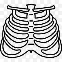 人的肋骨图标