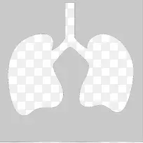 肺部照片