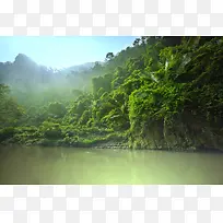 森林树林自然风光摄影图