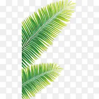 夏日海报植物绿色效果