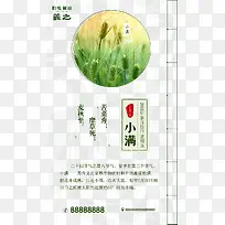 小满