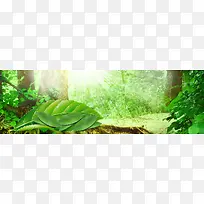 淘宝广告banner