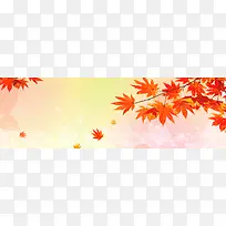 秋天海报banner