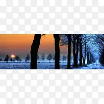 树林冬季雪景夕阳背景banner