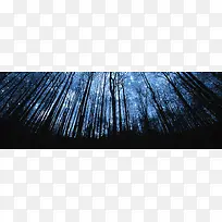 树林夜景梦幻背景banner