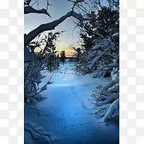 夕阳雪后树林壁纸