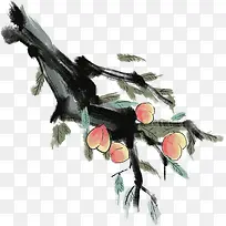 桃桃的桃花运