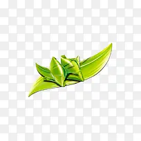 粽子