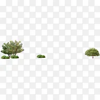 手绘树木创意风景