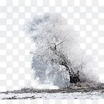 冬季雪景美丽景色