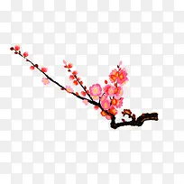 入冬冷傲风雪梅花盛开5