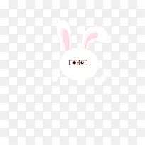 兔兔   表情兔   兔子