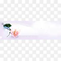 爱情温馨玫瑰花背景banner