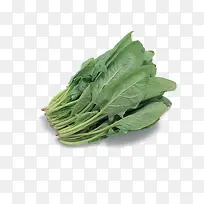 菠菜
