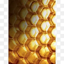 网状的成份分子结构图