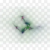 红色光晕光纹