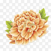 手绘富贵花文艺风