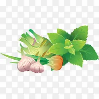 大蒜PNG矢量素材