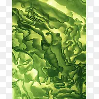 绿色树叶梦幻壁纸