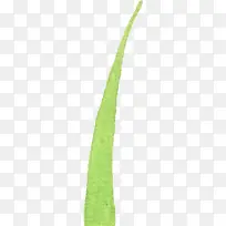 绿色手绘植物花卉