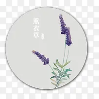 手绘薰衣草
