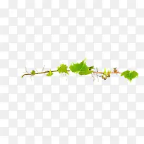清新自然花草美景