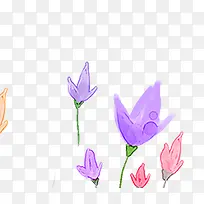 绘画鲜花背景设计