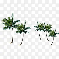 植物夏日海报树木