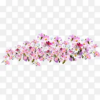 高清成堆摄影花朵