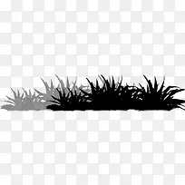 黑色植物草地景观