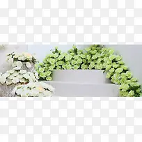 室内小清新花房摄影图