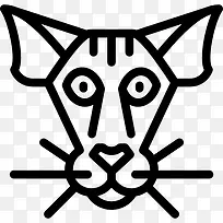 彼得秃猫猫图标