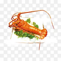 大龙虾