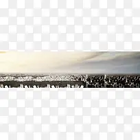 城市背景banner