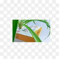 质子泵抑制剂ppi6