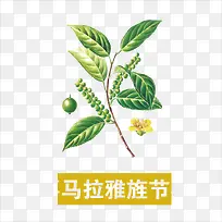 草药