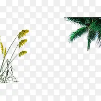植物背景图片素材